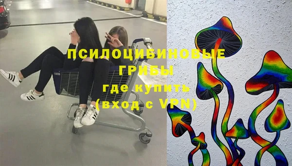 прущая мука Верхний Тагил